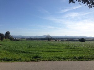 Uitzicht van het huisje naar Llagostera